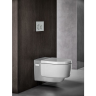 Смывная клавиша GEBERIT SIGMA 21 115,884.SI.1 белый хром глянец